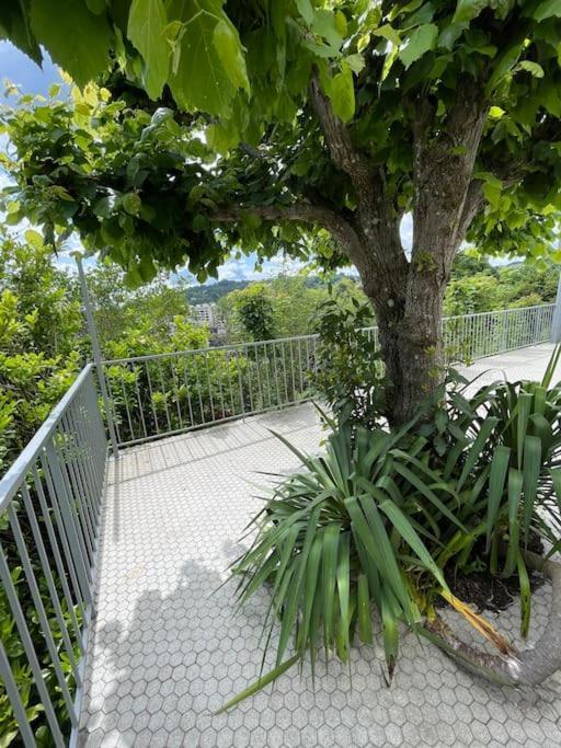 Paisible Eden Standing Terrasse - Magnifique Vue - Esprit Nature En Pleine Ville Тюль Екстер'єр фото