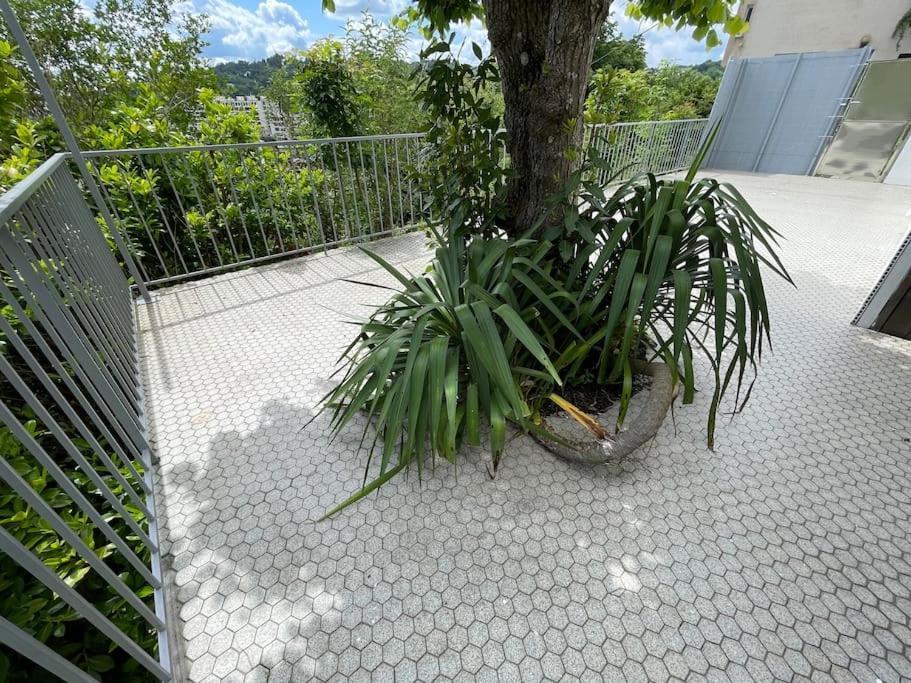 Paisible Eden Standing Terrasse - Magnifique Vue - Esprit Nature En Pleine Ville Тюль Екстер'єр фото